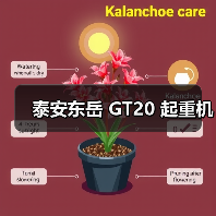 泰安东岳 GT20 起重机(图1) 泰安东岳 GT20 起重机(图1)