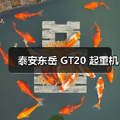 泰安东岳 GT20 起重机(图3) 泰安东岳 GT20 起重机(图3)
