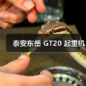 泰安东岳 GT20 起重机(图2) 泰安东岳 GT20 起重机(图2)