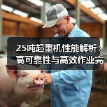25吨起重机性能解析:高可靠性与高效作业完美结合(图3) 25吨起重机性能解析:高可靠性与高效作业完美结合(图3)