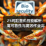 25吨起重机性能解析:高可靠性与高效作业完美结合(图2) 25吨起重机性能解析:高可靠性与高效作业完美结合(图2)