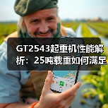 GT2543起重机性能解析:25吨载重如何满足工地需求(图4) GT2543起重机性能解析:25吨载重如何满足工地需求(图4)