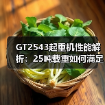 GT2543起重机性能解析:25吨载重如何满足工地需求(图2) GT2543起重机性能解析:25吨载重如何满足工地需求(图2)