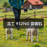 龙工 932NG 装载机(图4) 龙工 932NG 装载机(图4)