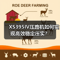 XS395IV压路机如何实现高效稳定压实?(图4) XS395IV压路机如何实现高效稳定压实?(图4)