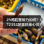 25吨起重能力如何？GT2552起重机核心优势解析（图1）