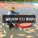 国机常林 933 装载机(图3) 国机常林 933 装载机(图3)