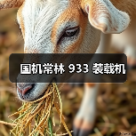 国机常林 933 装载机(图2) 国机常林 933 装载机(图2)