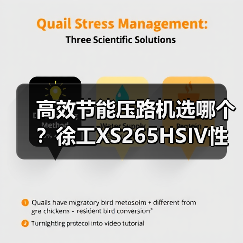 高效节能压路机选哪个?徐工XS265HSIV性能解析(图4) 高效节能压路机选哪个?徐工XS265HSIV性能解析(图4)