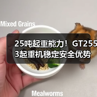 25吨起重能力!GT2553起重机稳定安全优势解析(图4) 25吨起重能力!GT2553起重机稳定安全优势解析(图4)