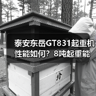 泰安东岳GT831起重机性能如何?8吨起重能力+多优势解析(图1) 泰安东岳GT831起重机性能如何?8吨起重能力+多优势解析(图1)