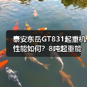 泰安东岳GT831起重机性能如何?8吨起重能力+多优势解析(图2) 泰安东岳GT831起重机性能如何?8吨起重能力+多优势解析(图2)