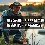 泰安东岳GT831起重机性能如何?8吨起重能力+多优势解析(图4) 泰安东岳GT831起重机性能如何?8吨起重能力+多优势解析(图4)