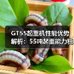 GT55起重机性能优势解析:55吨起重能力稳定性强(图1) GT55起重机性能优势解析:55吨起重能力稳定性强(图1)