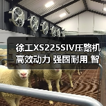 徐工XS225SIV压路机高效动力 强固耐用 智能操控解析(图4) 徐工XS225SIV压路机高效动力 强固耐用 智能操控解析(图4)
