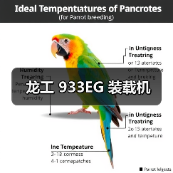 龙工 933EG 装载机(图4) 龙工 933EG 装载机(图4)