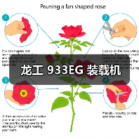 龙工 933EG 装载机(图1) 龙工 933EG 装载机(图1)