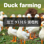 龙工 933EG 装载机(图3) 龙工 933EG 装载机(图3)