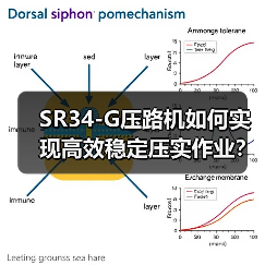 SR34-G压路机如何实现高效稳定压实作业？（图2）