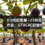 8.5吨起重量+25米高空作业:GT8C4C起重机性能解析(图4) 8.5吨起重量+25米高空作业:GT8C4C起重机性能解析(图4)