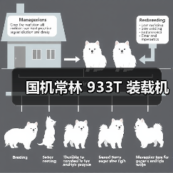 国机常林 933T 装载机(图2) 国机常林 933T 装载机(图2)