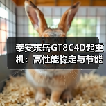 泰安东岳GT8C4D起重机:高性能稳定与节能环保优势解析(图4) 泰安东岳GT8C4D起重机:高性能稳定与节能环保优势解析(图4)