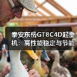 泰安东岳GT8C4D起重机:高性能稳定与节能环保优势解析(图2) 泰安东岳GT8C4D起重机:高性能稳定与节能环保优势解析(图2)