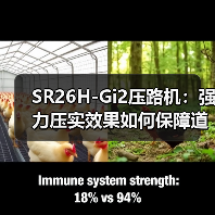 SR26H-Gi2压路机:强力压实效果如何保障道路质量?(图2) SR26H-Gi2压路机:强力压实效果如何保障道路质量?(图2)