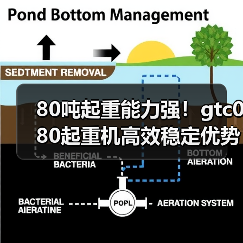 80吨起重能力强!gtc080起重机高效稳定优势解析(图4) 80吨起重能力强!gtc080起重机高效稳定优势解析(图4)