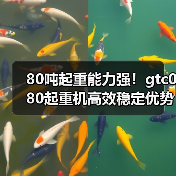 80吨起重能力强!gtc080起重机高效稳定优势解析(图3) 80吨起重能力强!gtc080起重机高效稳定优势解析(图3)