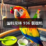 国机常林 936 装载机（图1）