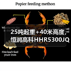25吨起重+40米高度，恒润高科HHR5300JQZ3CA25U起重机高效解析（图2）