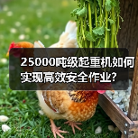 25000吨级起重机如何实现高效安全作业？（图3）