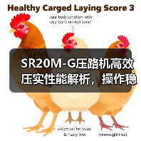 SR20M-G压路机高效压实性能解析,操作稳定维护便捷(图4) SR20M-G压路机高效压实性能解析,操作稳定维护便捷(图4)