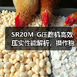 SR20M-G压路机高效压实性能解析,操作稳定维护便捷(图2) SR20M-G压路机高效压实性能解析,操作稳定维护便捷(图2)