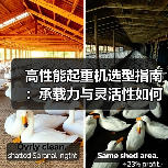 高性能起重机选型指南:承载力与灵活性如何兼得?(图3) 高性能起重机选型指南:承载力与灵活性如何兼得?(图3)