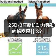 25D-3压路机动力强劲的秘密是什么?(图1) 25D-3压路机动力强劲的秘密是什么?(图1)