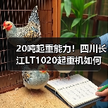 20吨起重能力!四川长江LT1020起重机如何实现高效稳定作业?(图4) 20吨起重能力!四川长江LT1020起重机如何实现高效稳定作业?(图4)