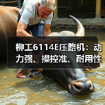 柳工6114E压路机:动力强、操控准、耐用性如何?(图4) 柳工6114E压路机:动力强、操控准、耐用性如何?(图4)