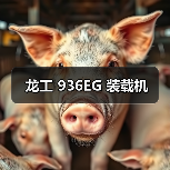 龙工 936EG 装载机(图1) 龙工 936EG 装载机(图1)