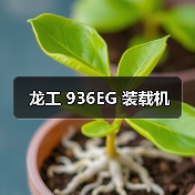 龙工 936EG 装载机(图2) 龙工 936EG 装载机(图2)
