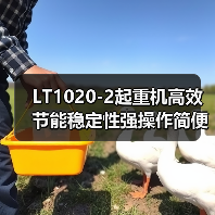 LT1020-2起重机高效节能稳定性强操作简便优势解析(图4) LT1020-2起重机高效节能稳定性强操作简便优势解析(图4)