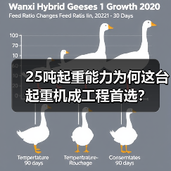 25吨起重能力为何这台起重机成工程首选?(图4) 25吨起重能力为何这台起重机成工程首选?(图4)