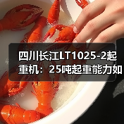 四川长江LT1025-2起重机:25吨起重能力如何满足多样化工程需求?(图1) 四川长江LT1025-2起重机:25吨起重能力如何满足多样化工程需求?(图1)
