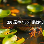 国机常林 936T 装载机（图4）