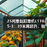 25吨重载起重机LT1025-3:39米高起升,稳定安全(图4) 25吨重载起重机LT1025-3:39米高起升,稳定安全(图4)