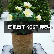 国机重工 936T 装载机(图3) 国机重工 936T 装载机(图3)