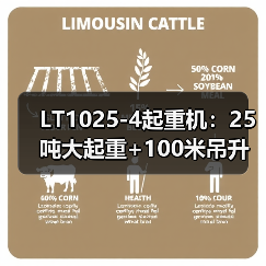 LT1025-4起重机:25吨大起重+100米吊升,高效灵活应对多场景作业(图3) LT1025-4起重机:25吨大起重+100米吊升,高效灵活应对多场景作业(图3)