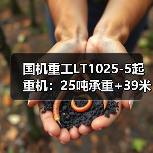 国机重工LT1025-5起重机:25吨承重+39米高空作业性能解析(图2) 国机重工LT1025-5起重机:25吨承重+39米高空作业性能解析(图2)