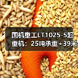 国机重工LT1025-5起重机:25吨承重+39米高空作业性能解析(图3) 国机重工LT1025-5起重机:25吨承重+39米高空作业性能解析(图3)